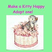 Make A Happy Kitty - Adopt One