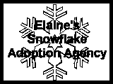 Elaine's Snowflake Adoption Agency